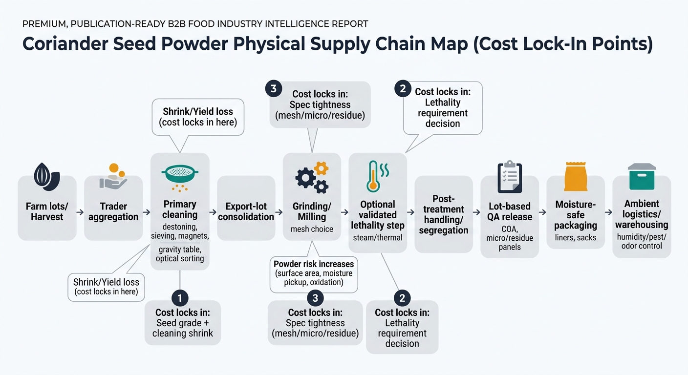 A left-to-right supply chain flow showing: Farm lots/Harvest → Trader aggregation → Primary cleaning (destoning, sieving, magnets, gravity table, optical sorting) with a callout for 'Shrink/Yield loss (cost locks in here)' → Export-lot consolidation → Grinding/Milling (mesh choice) with a callout for 'Powder risk increases (surface area, moisture pickup, oxidation)' → Optional validated lethality step (steam/thermal) with a callout for 'Capacity gate + validation + segregation' → Post-treatment handling/segregation → Lot-based QA release (COA, micro/residue panels) → Moisture-safe packaging (liners, sacks) → Ambient logistics/warehousing (humidity/pest/odor control). Visually mark 3 'Cost locks in' nodes: (1) Seed grade + cleaning shrink, (2) Lethality requirement decision, (3) Spec tightness (mesh/micro/residue). Use simple icons (seed, sieve, gear, thermometer/steam, clipboard, bag, container) and avoid any dashboard UI elements.