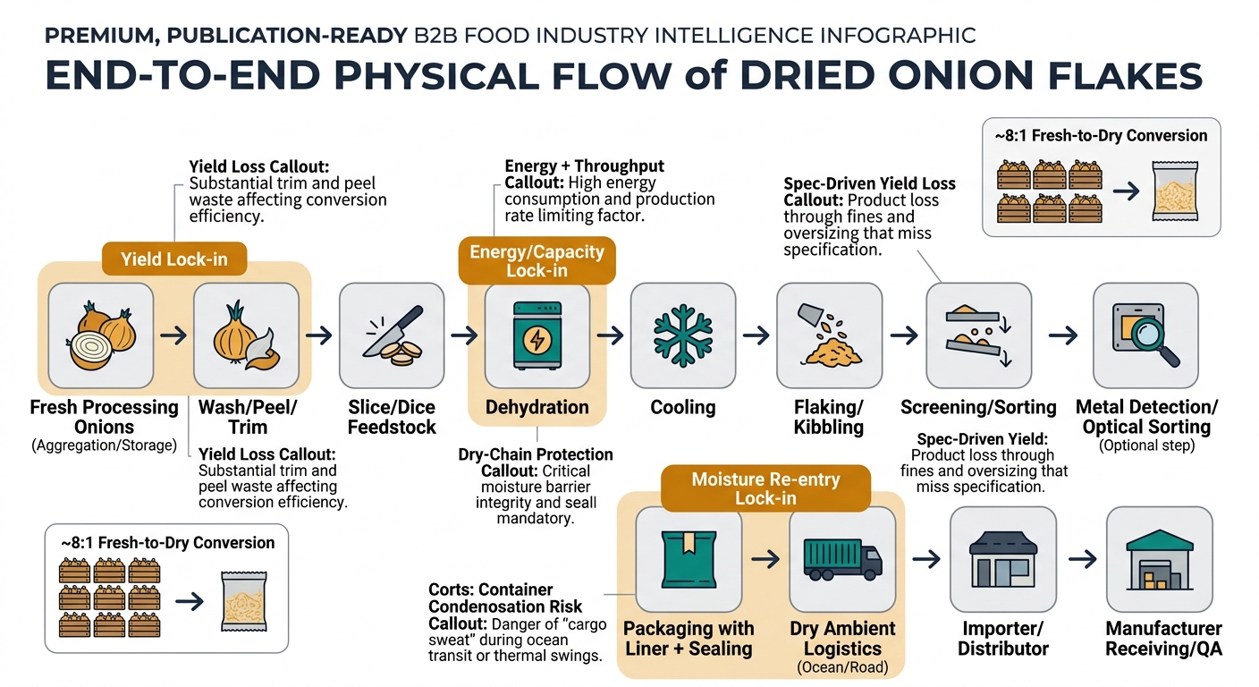 Flowchart showing the end-to-end physical flow of dried onion flakes from fresh onions through washing/peeling/trimming, slicing, dehydration, cooling, flaking/kibbling, screening/sorting, optional metal detection/optical sorting, packaging with liner and sealing, dry ambient logistics with container condensation risk, importer/distributor, and manufacturer receiving/QA, with lock-in markers for yield, energy/capacity, and moisture re-entry and an inset illustrating the ~8:1 fresh-to-dry conversion.