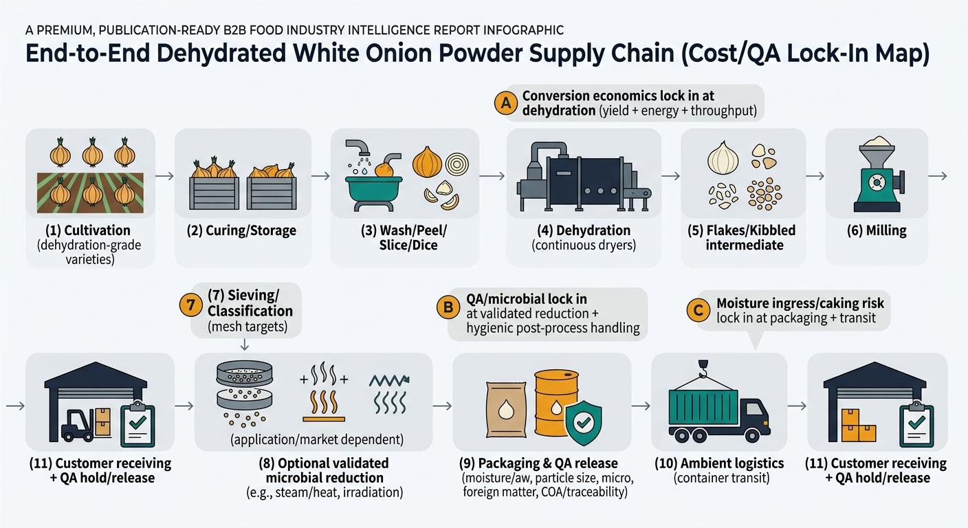 Flowchart/process diagram showing the end-to-end dehydrated white onion powder supply chain from cultivation through customer receiving, with annotated lock-in callouts for conversion economics at dehydration, QA/microbial control at validated reduction and hygienic handling, and moisture ingress/caking risk at packaging and transit.