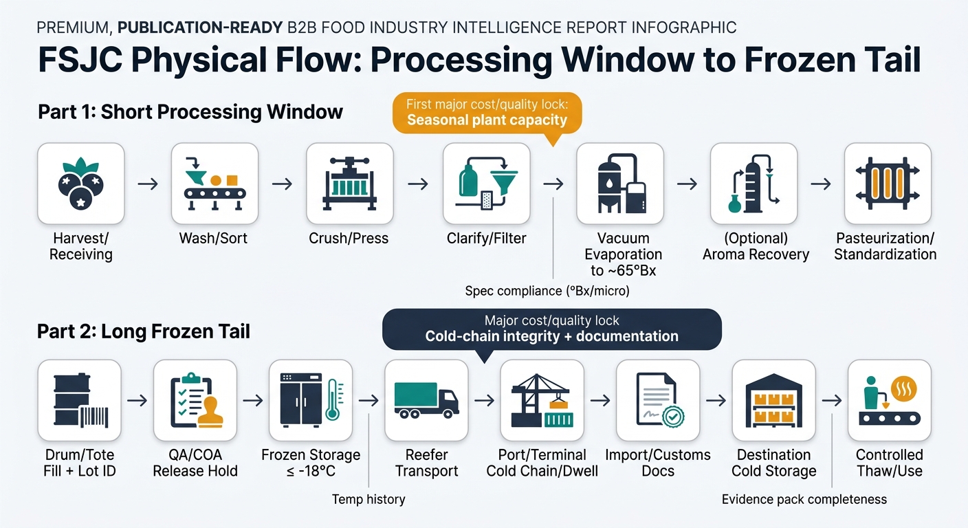 A left-to-right supply chain flow showing the two-part reality: (1) short processing window (Harvest/Receiving → Wash/Sort → Crush/Press → Clarify/Filter → Vacuum Evaporation to ~65°Bx → (Optional) Aroma Recovery → Pasteurization/Standardization) and (2) long frozen tail (Drum/Tote Fill + Lot ID → QA/COA Release Hold → Frozen Storage ≤ -18°C → Reefer Transport → Port/Terminal Cold Chain/Dwell → Import/Customs Docs → Destination Cold Storage → Controlled Thaw/Use). Add callouts for the two cost/quality “locks”: 'Seasonal plant capacity' and 'Cold-chain integrity + documentation'. Include small iconography (berries, evaporator, drum, freezer, reefer truck, port, thermometer, document) and 2–3 “risk gates” labels: 'Spec compliance (°Bx/micro)', 'Temp history', 'Evidence pack completeness'.