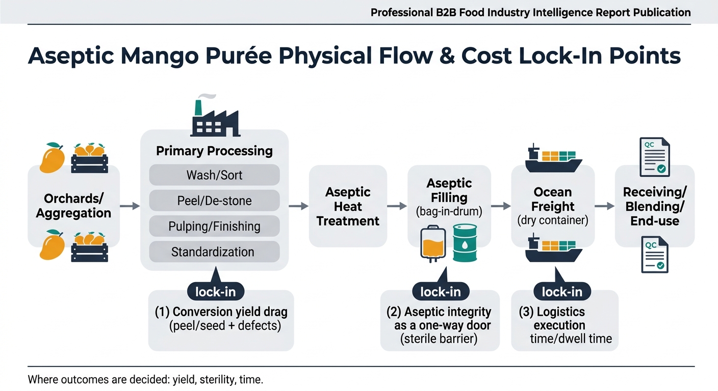 A left-to-right supply chain flow showing: Orchards/Aggregation → Primary Processing (wash/sort, peel/de-stone, pulping/finishing, standardization) → Aseptic Heat Treatment → Aseptic Filling (bag-in-drum) → Ocean Freight (dry container) → Receiving/Blending/End-use, with lock-in callouts for conversion yield drag at Primary Processing, aseptic integrity as a one-way door at Aseptic Filling, and logistics execution time/dwell time at Ocean Freight/Ports; includes small icons and a footer line stating “Where outcomes are decided: yield, sterility, time.”