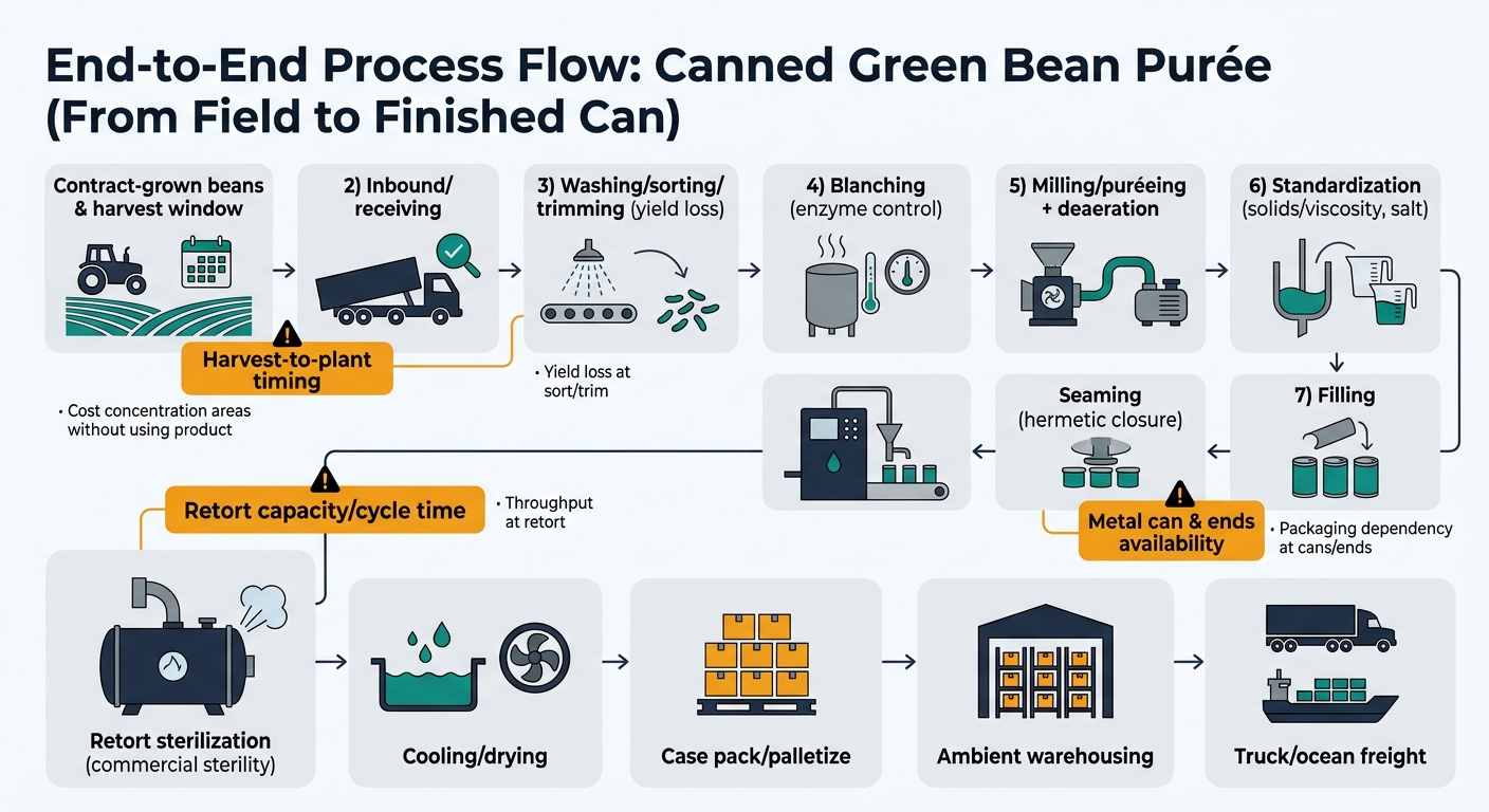 A left-to-right flow diagram showing the physical production steps for canned green bean purée from contract-grown beans and harvest window through inbound receiving, washing/sorting/trimming (yield loss), blanching (enzyme control), milling/puréeing with deaeration, standardization (solids/viscosity and salt), filling, seaming (hermetic closure), retort sterilization (commercial sterility), cooling/drying, case pack/palletize, ambient warehousing, and truck/ocean freight, with highlighted callouts for the three cost locked-in bottlenecks: harvest-to-plant timing, retort capacity/cycle time, and metal can and ends availability, plus side-notes indicating where cost concentrates (yield loss at sort/trim, throughput at retort, packaging dependency at cans/ends).