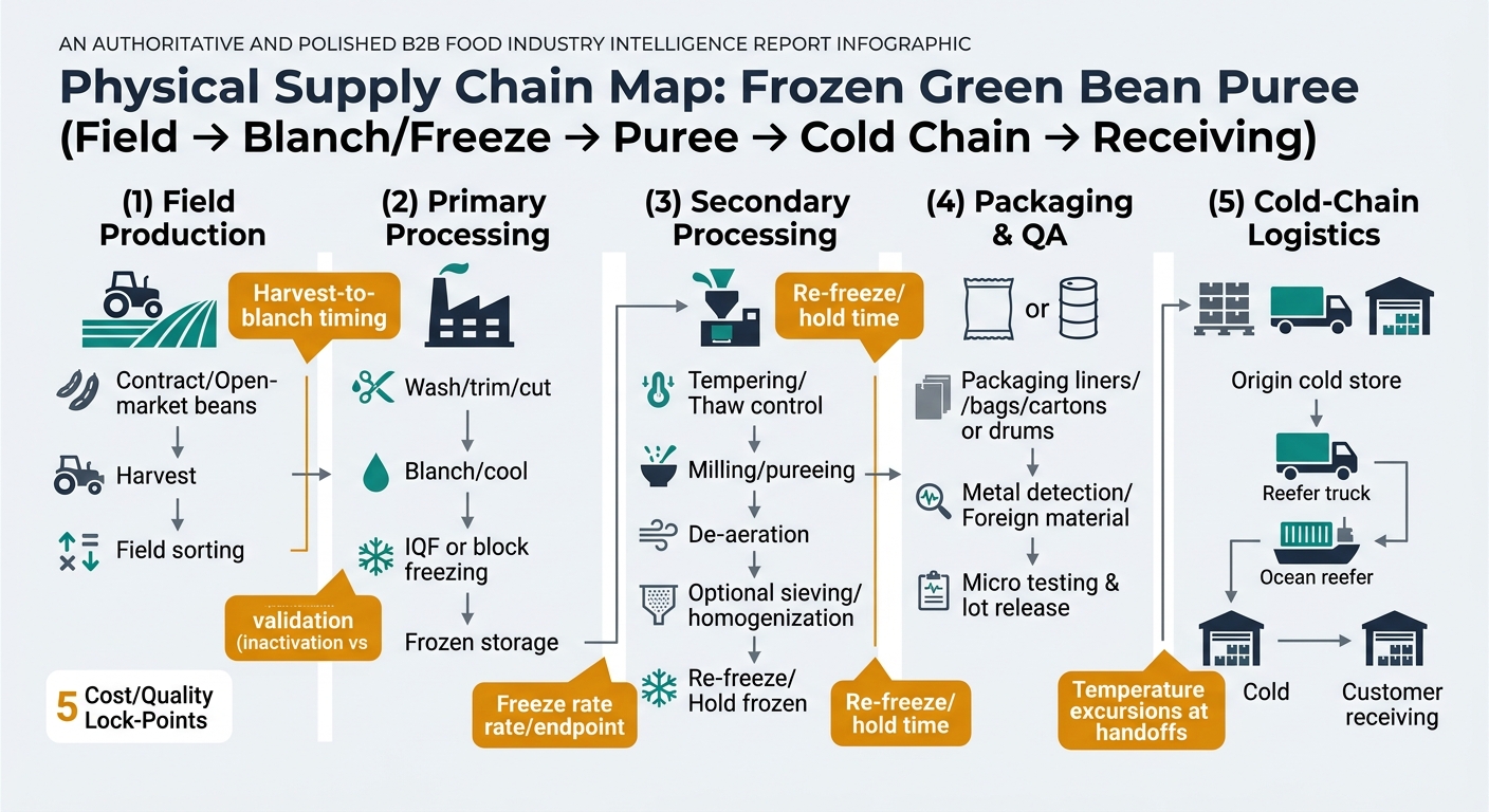 A left-to-right process flow showing the physical movement and transformations: (1) Field production (contract/open-market beans, harvest, field sorting) → (2) Primary processing (wash/trim/cut, blanch/cool, IQF or block freezing, frozen storage) → (3) Secondary processing (tempering/thaw control, milling/pureeing, de-aeration, optional sieving/homogenization, re-freeze/hold frozen) → (4) Packaging & QA (liners/bags/cartons or drums, metal detection/foreign material, micro testing & lot release) → (5) Cold-chain logistics (origin cold store, reefer truck/ocean reefer, destination cold store, customer receiving). Overlay 3–5 clearly labeled cost/quality lock-points at harvest-to-blanch timing, blanch validation (enzyme inactivation vs color), freeze rate/endpoint, re-freeze/hold time, and temperature excursions at handoffs, using simple icons and short labels.
