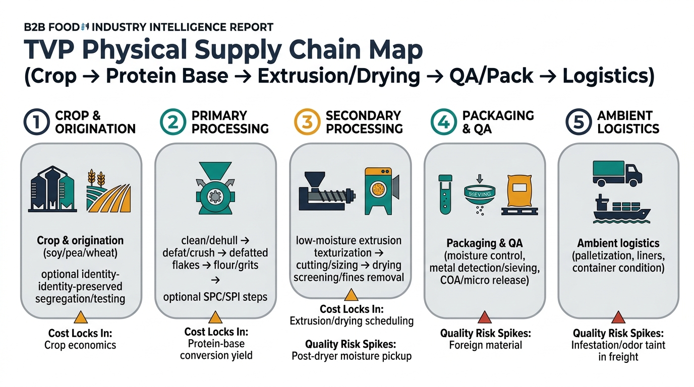 A left-to-right flowchart showing the real physical chain for dry TVP: (1) Crop & origination (soy/pea/wheat; optional identity-preserved segregation/testing), (2) Primary processing (clean/dehull → defat/crush → defatted flakes → flour/grits; optional SPC/SPI steps), (3) Secondary processing (low-moisture extrusion texturization → cutting/sizing → drying → screening/fines removal), (4) Packaging & QA (moisture control, metal detection/sieving, COA/micro release), (5) Ambient logistics (palletization, liners, container condition). Includes callouts marking where cost locks in (crop economics; protein-base conversion yield; extrusion/drying scheduling) and where quality risk spikes (post-dryer moisture pickup; foreign material; infestation/odor taint in freight).