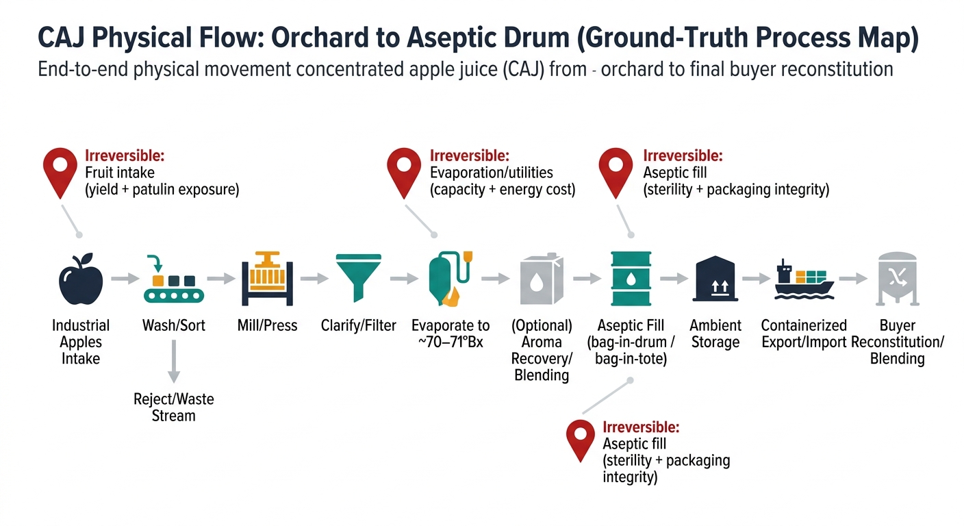 A left-to-right flowchart showing the end-to-end physical movement of concentrated apple juice (CAJ): Industrial apples intake → wash/sort (include a reject/waste stream) → mill/press → clarify/filter → evaporate to ~70–71°Bx → (optional) aroma recovery/blending → aseptic fill (bag-in-drum / bag-in-tote) → ambient storage → containerized export/import → buyer reconstitution/blending, with three labeled callouts for irreversible nodes: fruit intake (yield + patulin exposure), evaporation/utilities (capacity + energy cost), and aseptic fill (sterility + packaging integrity).