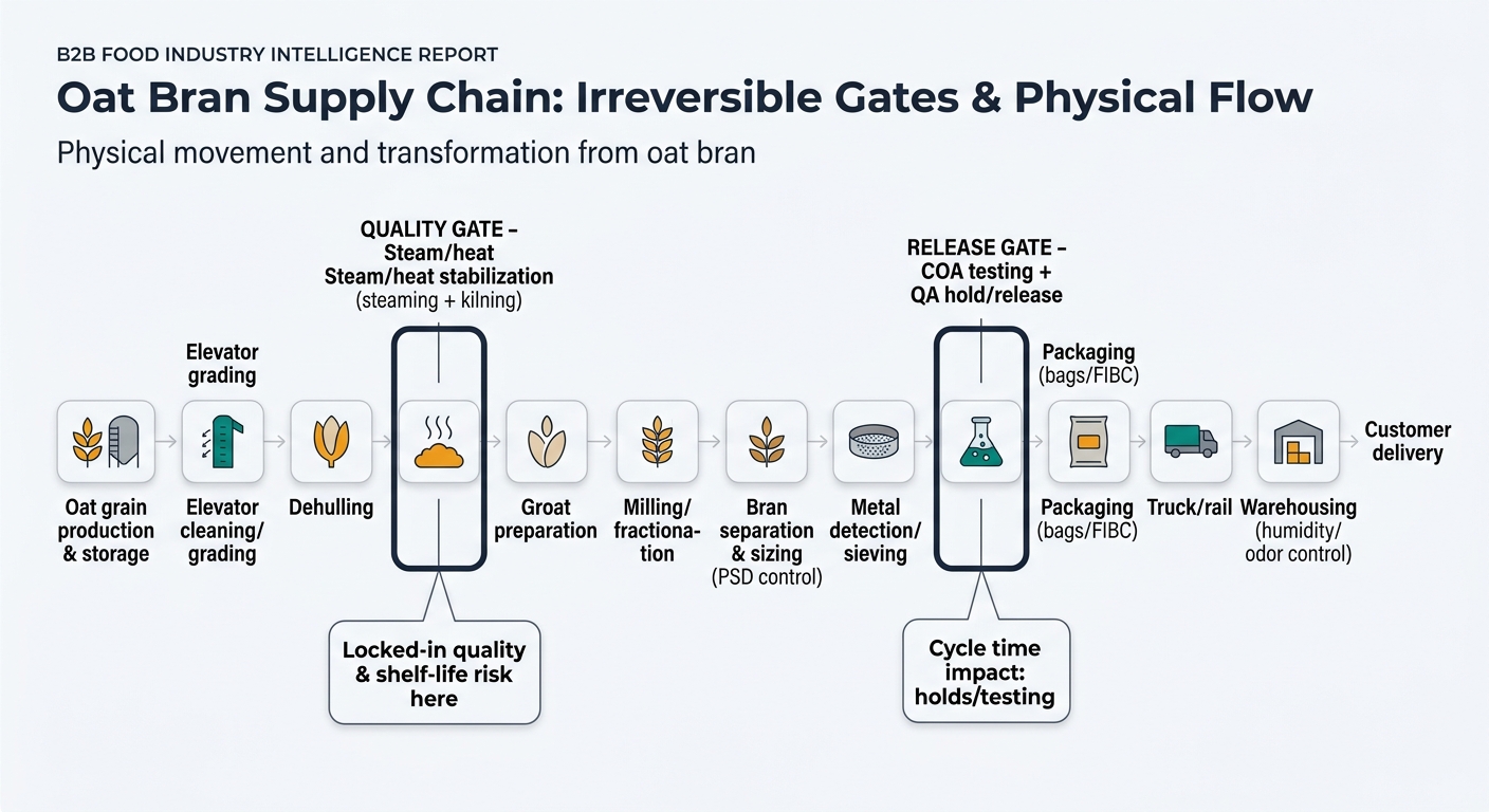 A left-to-right supply chain flow diagram showing the physical movement and transformation from oat grain to shipped oat bran, with clearly labeled stages from production and storage through cleaning/grading, dehulling, steam/heat stabilization highlighted as a QUALITY GATE, groat preparation, milling/fractionation, bran separation and sizing (PSD control), metal detection/sieving, COA testing with QA hold/release highlighted as a RELEASE GATE, packaging (bags/FIBC), truck/rail, warehousing (humidity/odor control), and customer delivery; the two irreversible gates are emphasized with callouts about locked-in quality and cycle-time impact.
