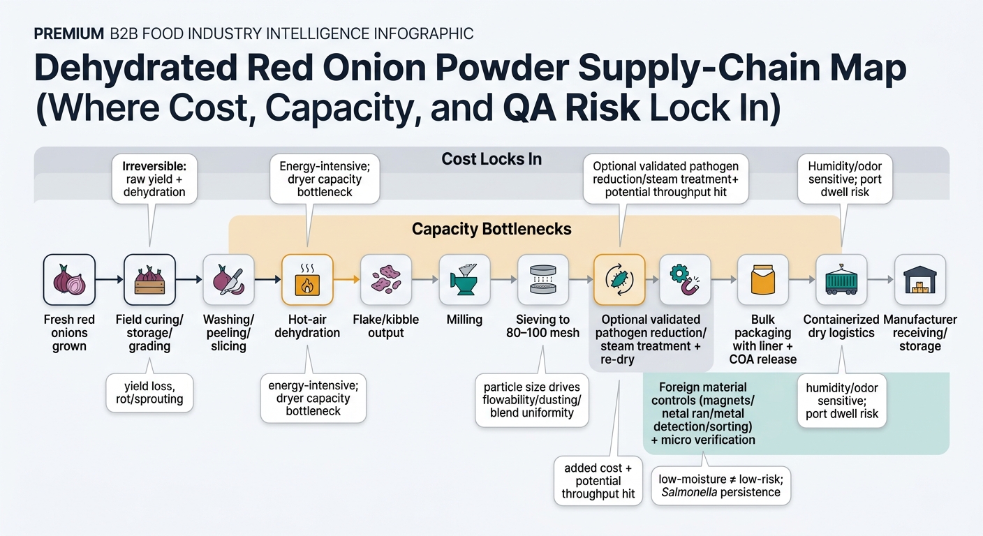 A left-to-right supply-chain flow showing the irreversible conversion steps and where key risks/costs lock in, from fresh red onions through curing/storage, washing/slicing, hot-air dehydration, flake output, milling, sieving to 80–100 mesh, optional validated pathogen reduction and re-dry, foreign material controls and micro verification, bulk packaging with COA release, containerized dry logistics, and manufacturer receiving/storage; overlay bands highlight where cost locks in, capacity bottlenecks, and QA risk controls.