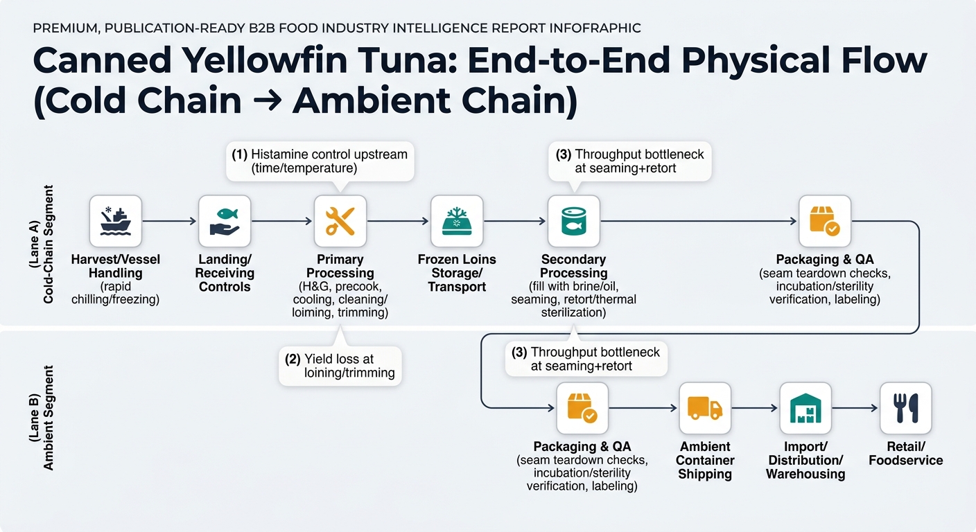 A two-lane supply chain flow diagram separating the cold-chain segment and the ambient segment, showing nodes from harvest and rapid chilling/freezing through receiving controls, primary processing into frozen loins, secondary processing (fill, seaming, retort), packaging and QA, ambient container shipping, import/distribution/warehousing, and retail/foodservice, with callouts for histamine control, yield loss, and seaming+retort throughput bottleneck.