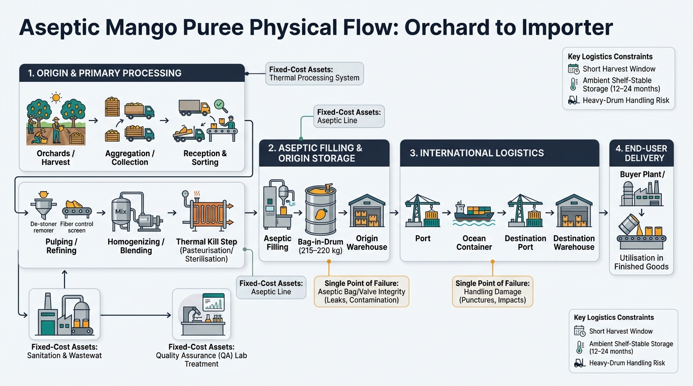 A left-to-right supply chain flow showing the physical movement and conversion steps for conventional mango puree: Orchards/Harvest → Aggregation/Collection → Reception & Sorting → Pulping/Refining (de-stone/peel, fiber control) → Homogenizing/Blending → Thermal Kill Step (pasteurisation/sterilisation) → Aseptic Filling → Bag-in-Drum (215–220 kg) → Origin Warehouse → Port → Ocean Container → Destination Port → Destination Warehouse → Buyer Plant/Use. Includes callouts for fixed-cost assets (aseptic line, thermal processing, sanitation/wastewater, QA lab) and single points of failure (aseptic bag/valve integrity, handling damage), plus a legend for key constraints (short harvest window, ambient shelf-stable storage 12–24 months, heavy-drum handling risk).