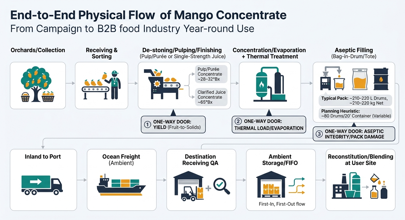 A left-to-right flowchart showing the physical movement and transformations of mango concentrate from orchards/collection through receiving and sorting, de-stoning/pulping/finishing, concentration/evaporation plus thermal treatment, aseptic filling (bag-in-drum/tote), inland to port, ocean freight (ambient), destination receiving QA, ambient storage/FIFO, and reconstitution/blending at the user site, with callouts marking the three lock-in points: yield (fruit-to-solids), thermal load/evaporation, and aseptic integrity/pack damage; includes spec tags for pulp/purée concentrate ~28–32°Bx, clarified juice concentrate ~65°Bx, and typical pack ~210–220 L drums, ~210–220 kg net, planning heuristic ~80 drums/20’ container (variable).