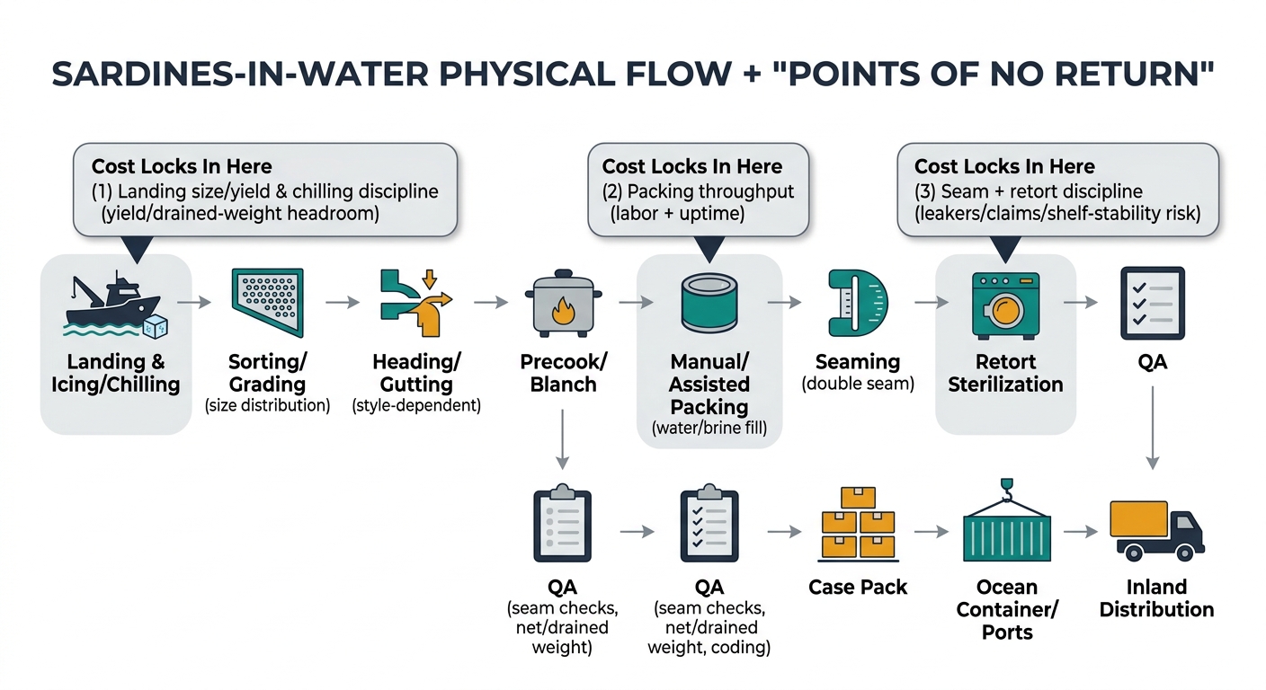 A left-to-right supply chain flow showing: Landing & Icing/Chilling → Sorting/Grading (size distribution) → Heading/Gutting (style-dependent) → Precook/Blanch → Manual/Assisted Packing (water/brine fill) → Seaming (double seam) → Retort Sterilization → QA (seam checks, net/drained weight, coding) → Case Pack → Ocean Container/Ports → Inland Distribution, with three callouts labeled “Cost Locks In Here” at landing size/yield & chilling discipline, packing throughput, and seam + retort discipline.