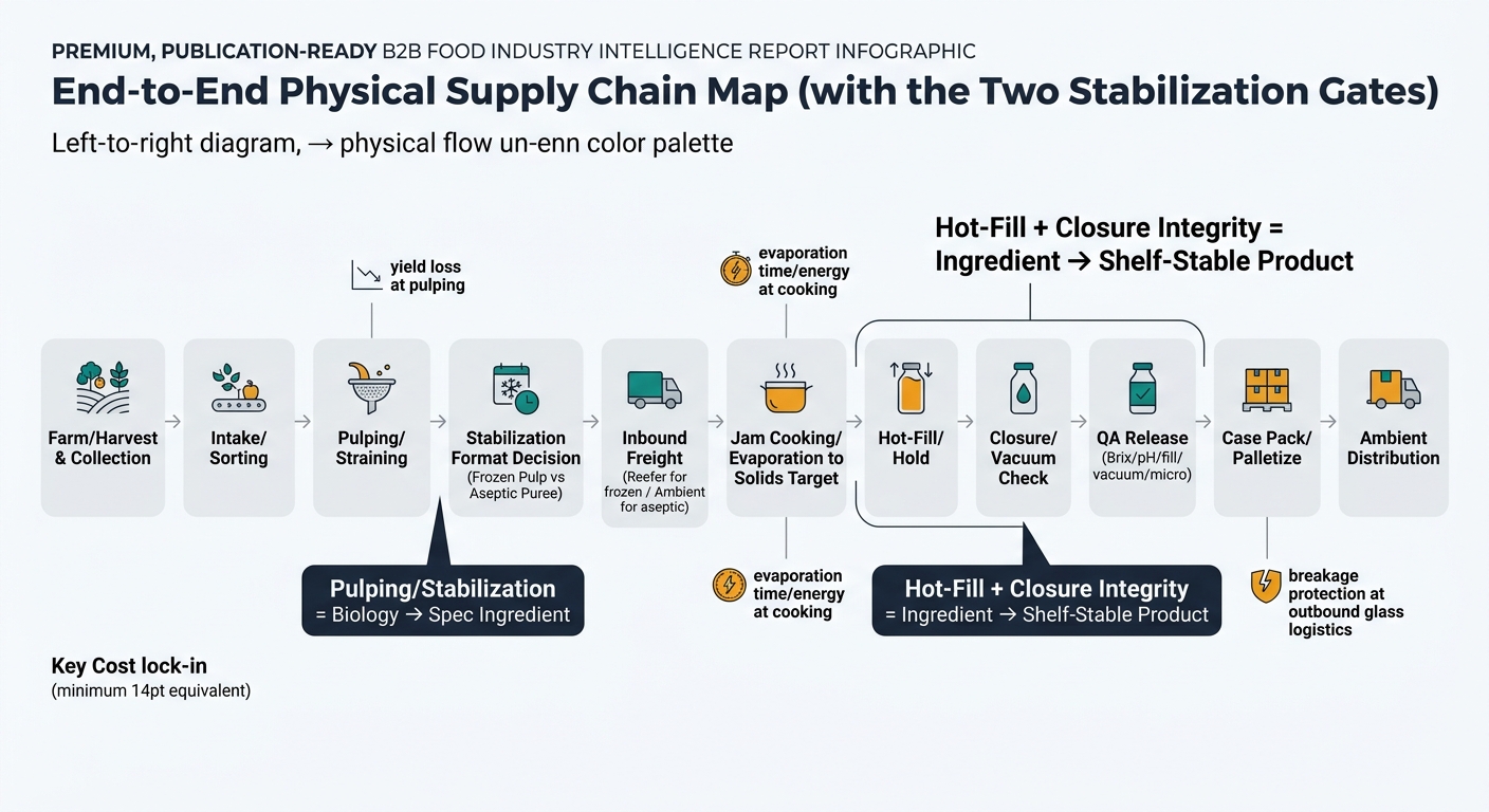 A left-to-right physical flow diagram showing: Farm/Harvest & Collection → Intake/Sorting → Pulping/Straining → Stabilization Format Decision (Frozen Pulp vs Aseptic Puree) → Inbound Freight (Reefer for frozen / Ambient for aseptic) → Jam Cooking/Evaporation to Solids Target → Hot-Fill/Hold → Closure/Vacuum Check → QA Release (Brix/pH/fill/vacuum/micro) → Case Pack/Palletize → Ambient Distribution. Visually emphasize the two stabilization gates with bold callouts: (1) 'Pulping/Stabilization = Biology → Spec Ingredient' and (2) 'Hot-Fill + Closure Integrity = Ingredient → Shelf-Stable Product'. Add small icon callouts for key cost lock-in points: yield loss at pulping, evaporation time/energy at cooking, breakage protection at outbound glass logistics.