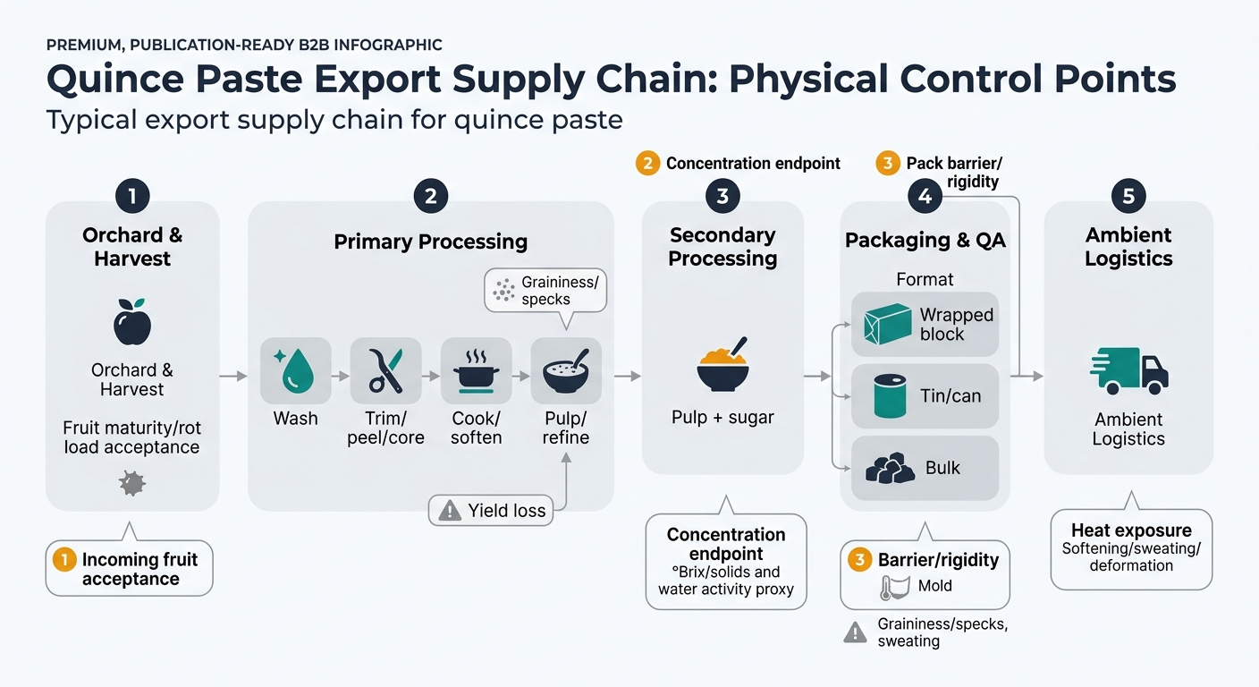 A left-to-right flowchart showing the typical export supply chain for quince paste from orchard and harvest through primary processing, secondary processing, packaging and QA, and ambient logistics, highlighting three procurement control points (incoming fruit acceptance, concentration endpoint, and pack barrier/rigidity) and showing risk icons for graininess/specks, sweating, deformation, and mold at their originating steps.