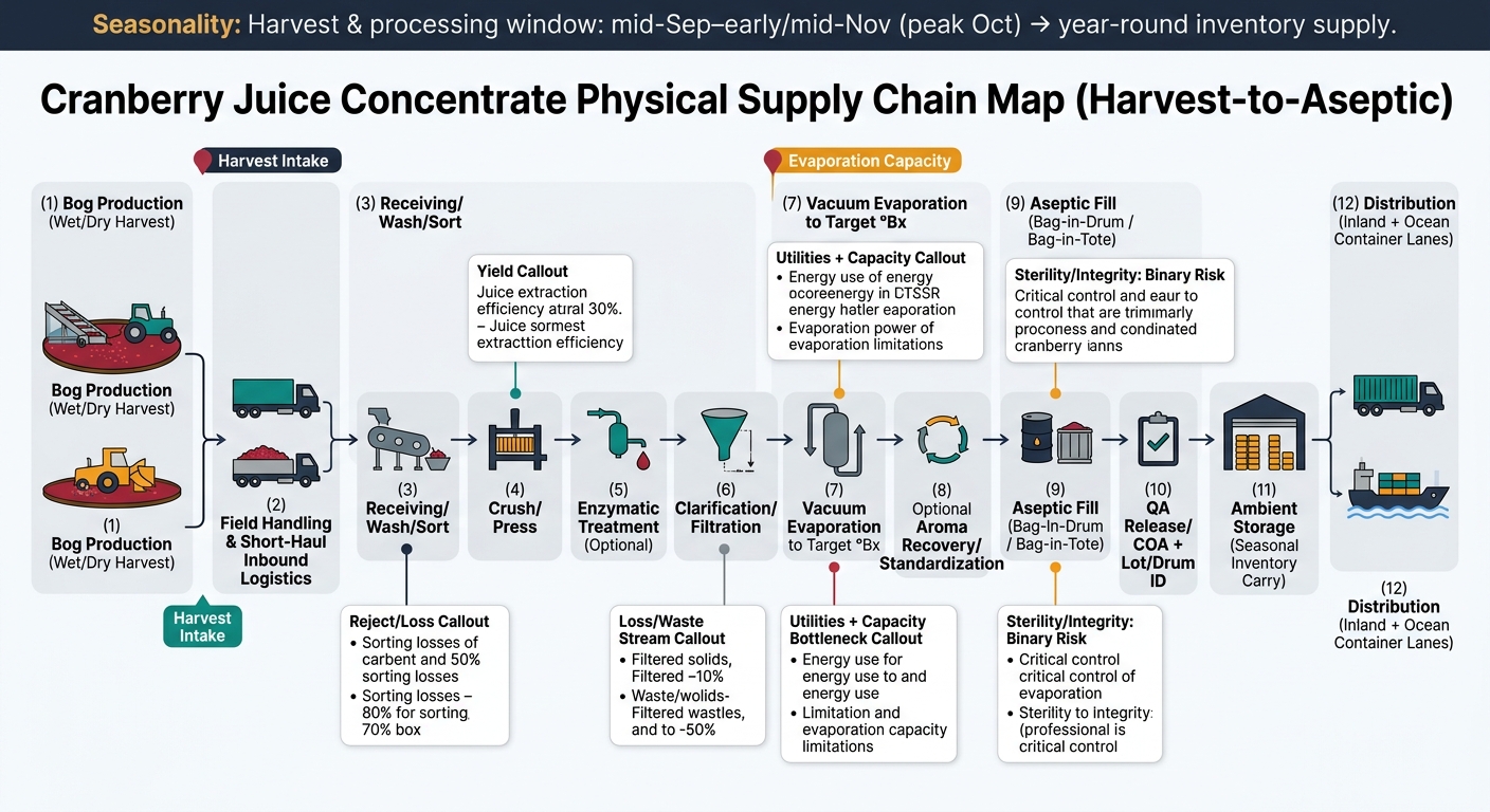 A left-to-right process map of cranberry juice concentrate from bog harvest through inbound logistics, receiving/wash/sort, pressing, optional enzymatic treatment, clarification/filtration, vacuum evaporation to target °Bx, optional aroma recovery/standardization, aseptic fill in drums/totes, QA release with COA and lot/drum ID, ambient storage, and distribution; includes a seasonality banner (mid-Sep–early/mid-Nov, peak Oct) and highlights bottlenecks at harvest intake, evaporation capacity, and aseptic integrity.