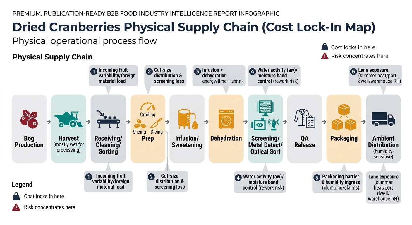 A left-to-right flow diagram showing the physical chain from bog production through harvest, receiving/cleaning/sorting, prep, infusion/sweetening, dehydration, screening/metal detect/optical sort, QA release, packaging, and ambient distribution, with callouts for key cost lock-in points and where risk concentrates (incoming fruit variability/foreign material load, cut-size distribution & screening loss, infusion + dehydration energy/time + shrink, water activity/moisture band control rework risk, packaging barrier & humidity ingress clumping/claims, and lane exposure such as summer heat/port dwell/warehouse humidity), plus a legend for cost vs risk icons.