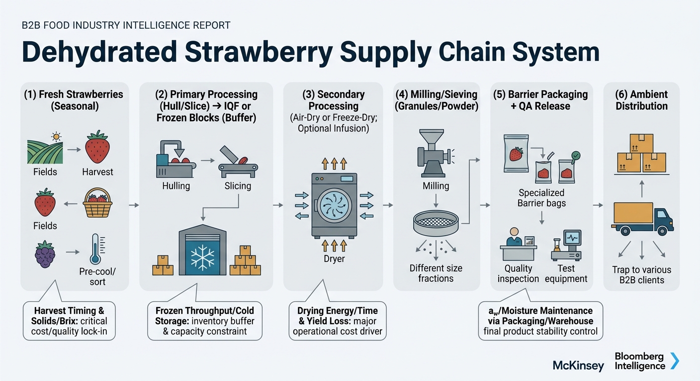 A left-to-right supply chain flow showing the most common industrial pattern: (1) Fresh strawberries (seasonal) → pre-cool/sort, (2) Primary processing (hull/slice) → IQF or frozen blocks (buffer), (3) Secondary processing (air-dry or freeze-dry; optional infusion), (4) Milling/sieving (granules/powder), (5) Barrier packaging + QA release, (6) Ambient distribution. Callout boxes highlight key cost/quality lock-in points: harvest timing & solids/Brix; frozen throughput/cold storage; drying energy/time & yield loss; aw/moisture maintenance via packaging/warehouse discipline. Simple icons (berry, snowflake, dryer, sieve, barrier bag, truck) and no dashboard-like UI.