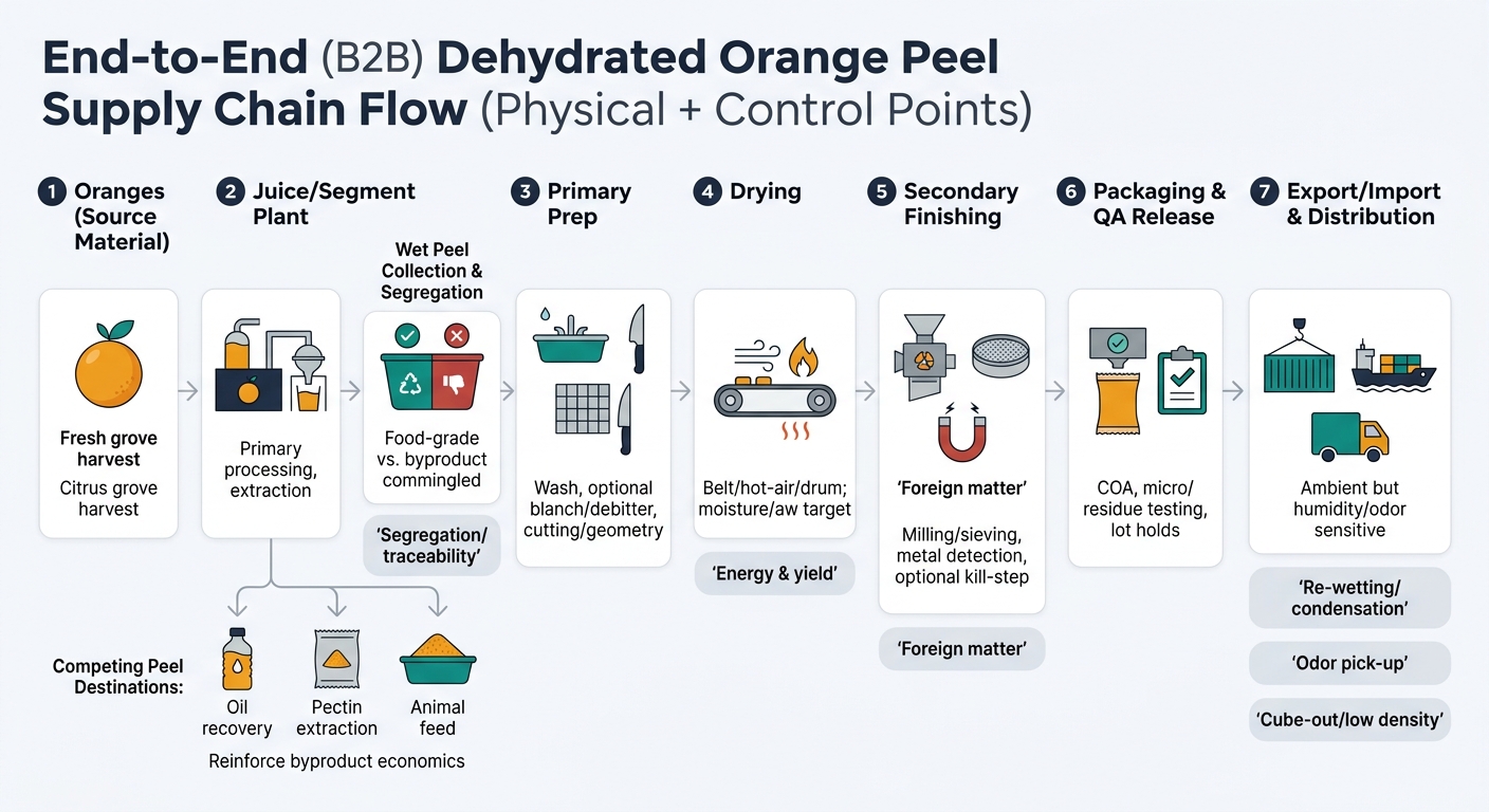 A left-to-right flowchart showing the physical movement of dehydrated orange peel and the main quality/cost lock-in points: Oranges to juice/segment plant to wet peel collection and segregation (food-grade vs commingled), primary prep (wash, optional blanch/debitter, cutting/geometry), drying (belt/hot-air/drum; moisture/aw target), secondary finishing (milling/sieving, metal detection, optional kill-step), packaging and QA release (COA, micro/residue testing, lot holds), and export/import and distribution (ambient but humidity/odor sensitive). Includes callouts for segregation/traceability, energy & yield, re-wetting/condensation, foreign matter, odor pick-up, and cube-out/low density, plus a side branch showing competing peel destinations: oil recovery, pectin extraction, and animal feed.