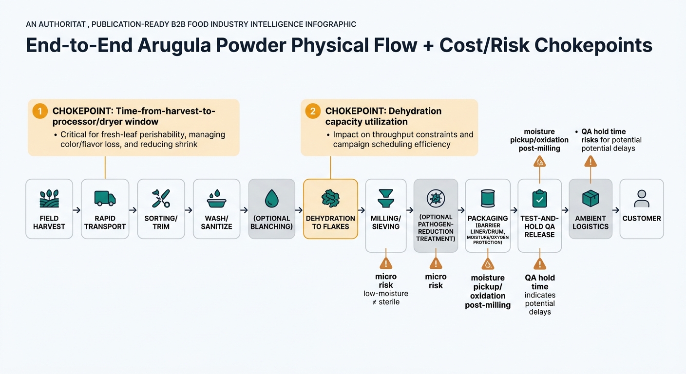 A left-to-right flowchart of the arugula powder process from field harvest through customer delivery, with callouts highlighting chokepoints (time-from-harvest-to-processor/dryer and dehydration capacity utilization) and risk icons for microbial risk in low-moisture foods, post-milling moisture pickup/oxidation, and QA hold time.