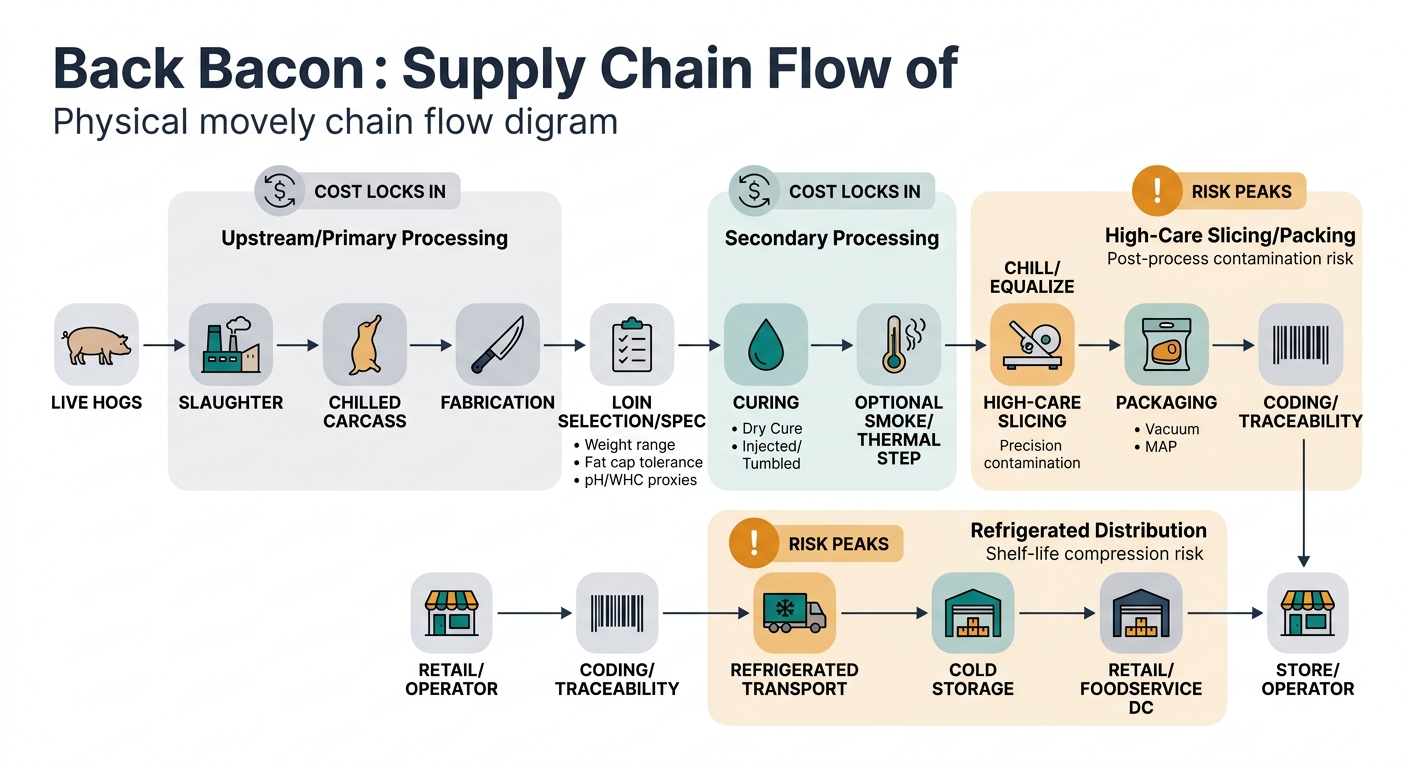 A left-to-right (or top-to-bottom) flow diagram showing the physical movement and transformation of back bacon with clearly labeled nodes: Live Hogs → Slaughter → Chilled Carcass → Fabrication → Loin Selection/Spec (weight range, fat cap tolerance, pH/WHC proxies) → Curing (dry or injected/tumbled) → Optional Smoke/Thermal Step → Chill/Equalize → High-Care Slicing → Packaging (Vacuum or MAP) → Coding/Traceability → Refrigerated Transport → Cold Storage → Retail/Foodservice DC → Store/Operator. Add two overlays: (1) 'Cost locks in' markers at Upstream/Primary and Secondary Processing, and (2) 'Risk peaks' markers at High-Care Slicing/Packing and Refrigerated Distribution (post-process contamination + shelf-life compression). Use clean icons (hog, carcass, knife, brine droplet, thermometer/smoke, slicer, vacuum pack, barcode, reefer truck, warehouse). Avoid any dashboard/UI elements.