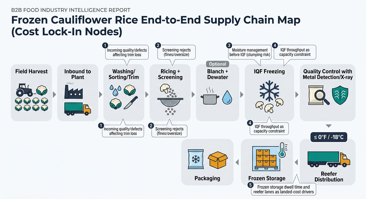 A left-to-right process flow showing the physical build from field to customer: Field Harvest → Inbound to Plant → Washing/Sorting/Trim → Ricing + Screening → (Optional) Blanch + Dewater → IQF Freezing → Metal Detection/X-ray → Packaging → Frozen Storage → Reefer Distribution, with callouts for key cost lock-in points and a temperature badge of ≤ 0°F / -18°C near storage/distribution.