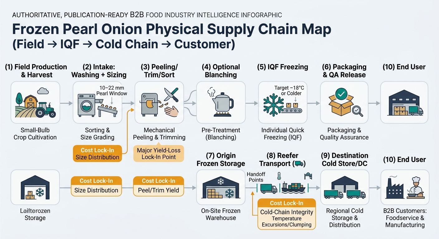 A left-to-right supply chain flow diagram showing: (1) Field production & harvest (small-bulb crop) → (2) Intake: washing + sizing (10–22 mm pearl window callout) → (3) Peeling/trim/sort (highlight as major yield-loss lock-in point) → (4) Optional blanching → (5) IQF freezing (callout: target −18°C or colder) → (6) Packaging & QA release → (7) Origin frozen storage → (8) Reefer transport (truck/ocean) with handoff points → (9) Destination cold store/DC → (10) End user, with cost lock-in badges at size distribution, peel/trim yield, and cold-chain integrity.
