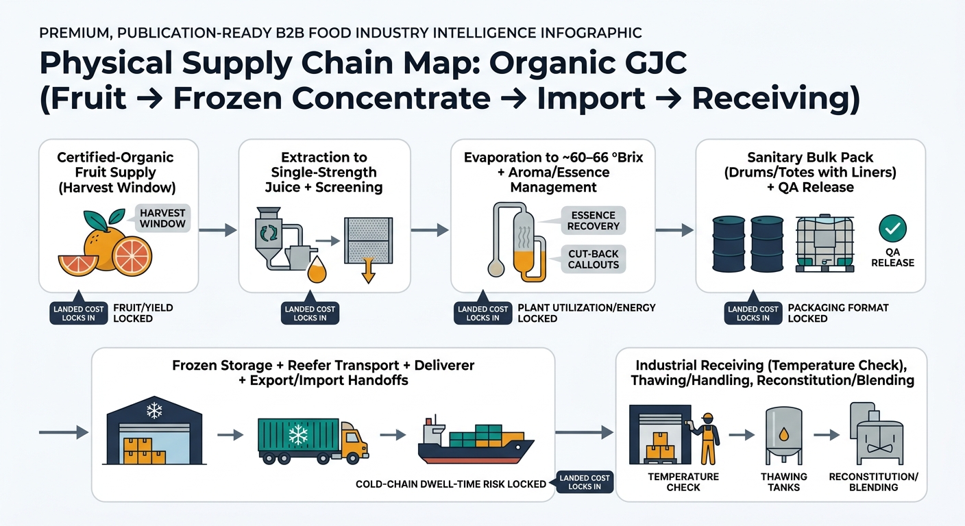 Flowchart showing the physical movement and transformations of organic grapefruit into juice concentrate from certified-organic fruit supply through extraction, evaporation to ~60–66 °Brix with aroma/essence management, sanitary bulk packing with liners and QA release, frozen storage and reefer export/import handoffs, and industrial receiving with temperature checks, thawing, and reconstitution/blending; includes markers showing where landed cost locks in at key nodes.