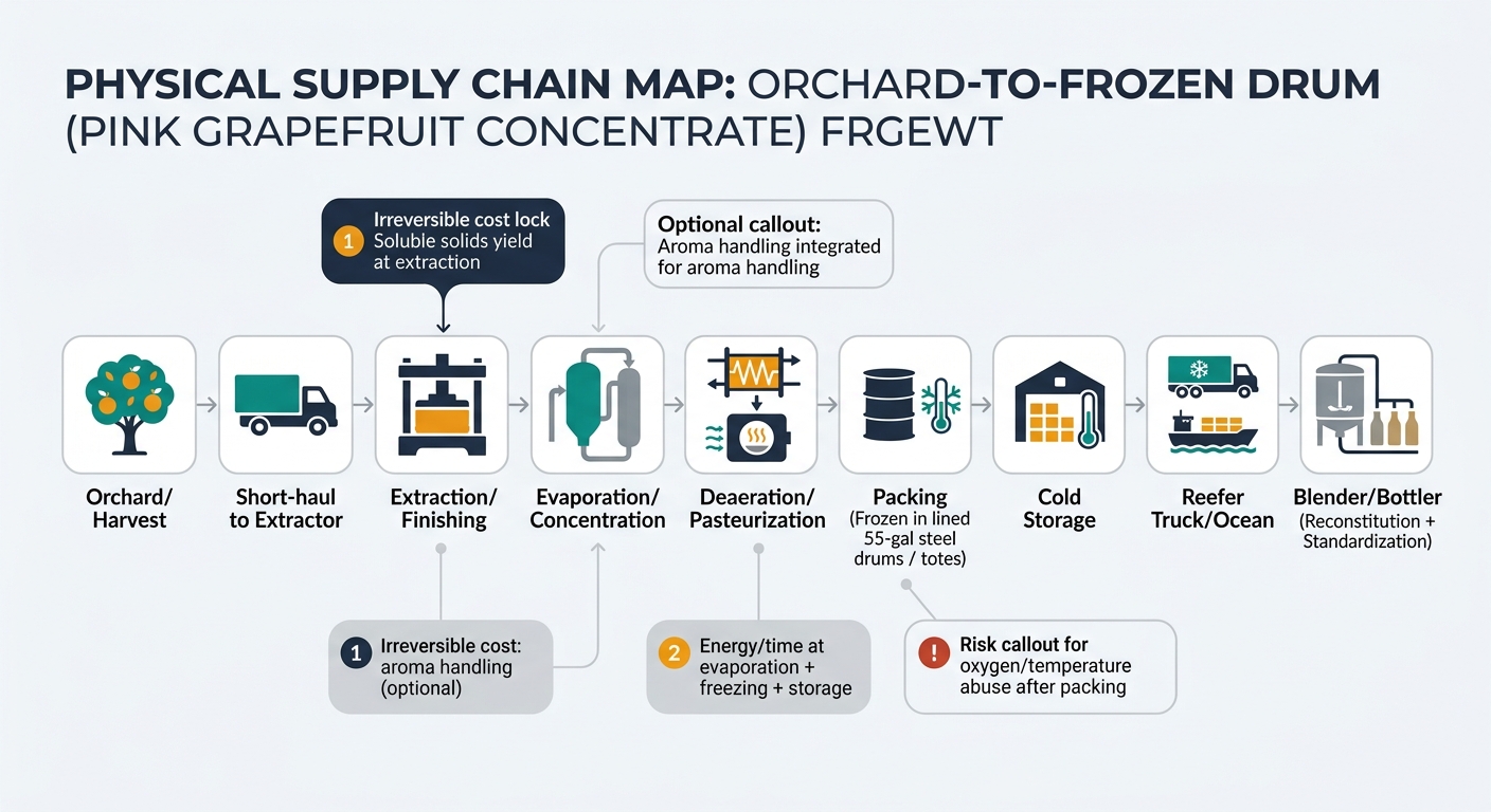 A left-to-right flow showing the physical movement and transformation steps: Orchard/Harvest → Short-haul to Extractor → Extraction/Finishing → Evaporation/Concentration (with optional aroma handling callout) → Deaeration/Pasteurization → Packing (Frozen in lined 55-gal steel drums / totes) → Cold Storage → Reefer Truck/Ocean → Blender/Bottler (Reconstitution + Standardization). Add 2–3 callout badges for the key irreversible cost locks: (1) Soluble solids yield at extraction, (2) Energy/time at evaporation + freezing + storage, plus a risk callout for oxygen/temperature abuse after packing.