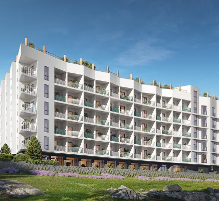 Our projects image