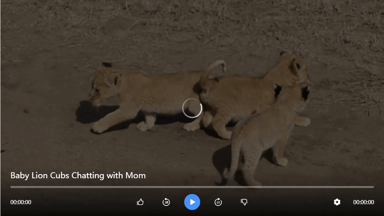 Pet Lovers Screenshot 3