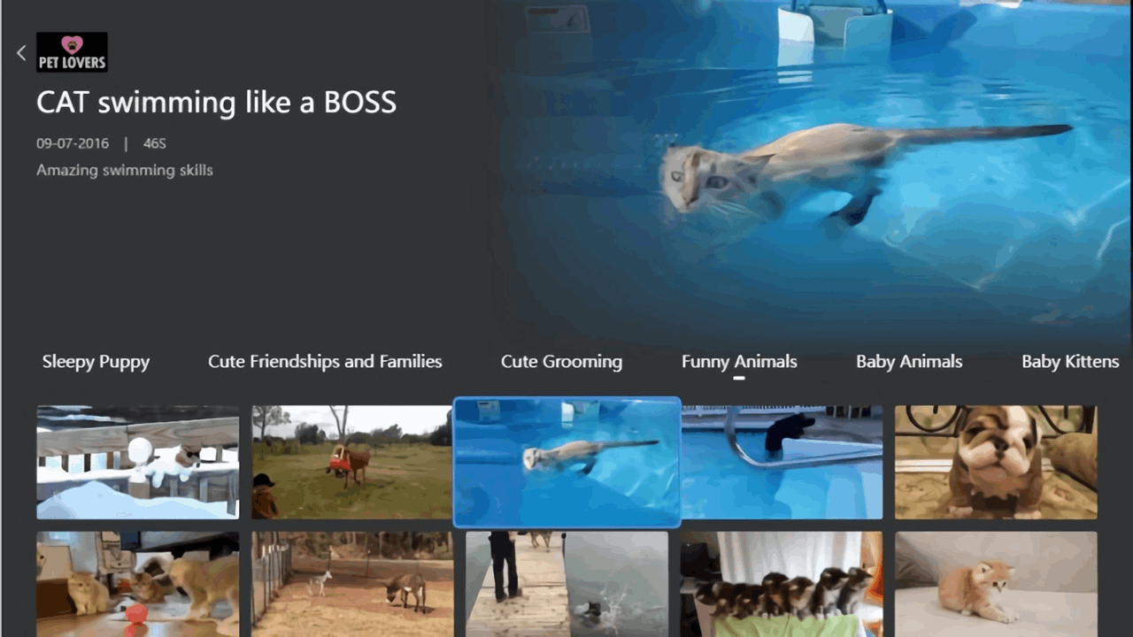 Pet Lovers Screenshot 2