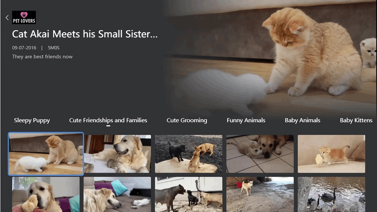 Pet Lovers Screenshot 1