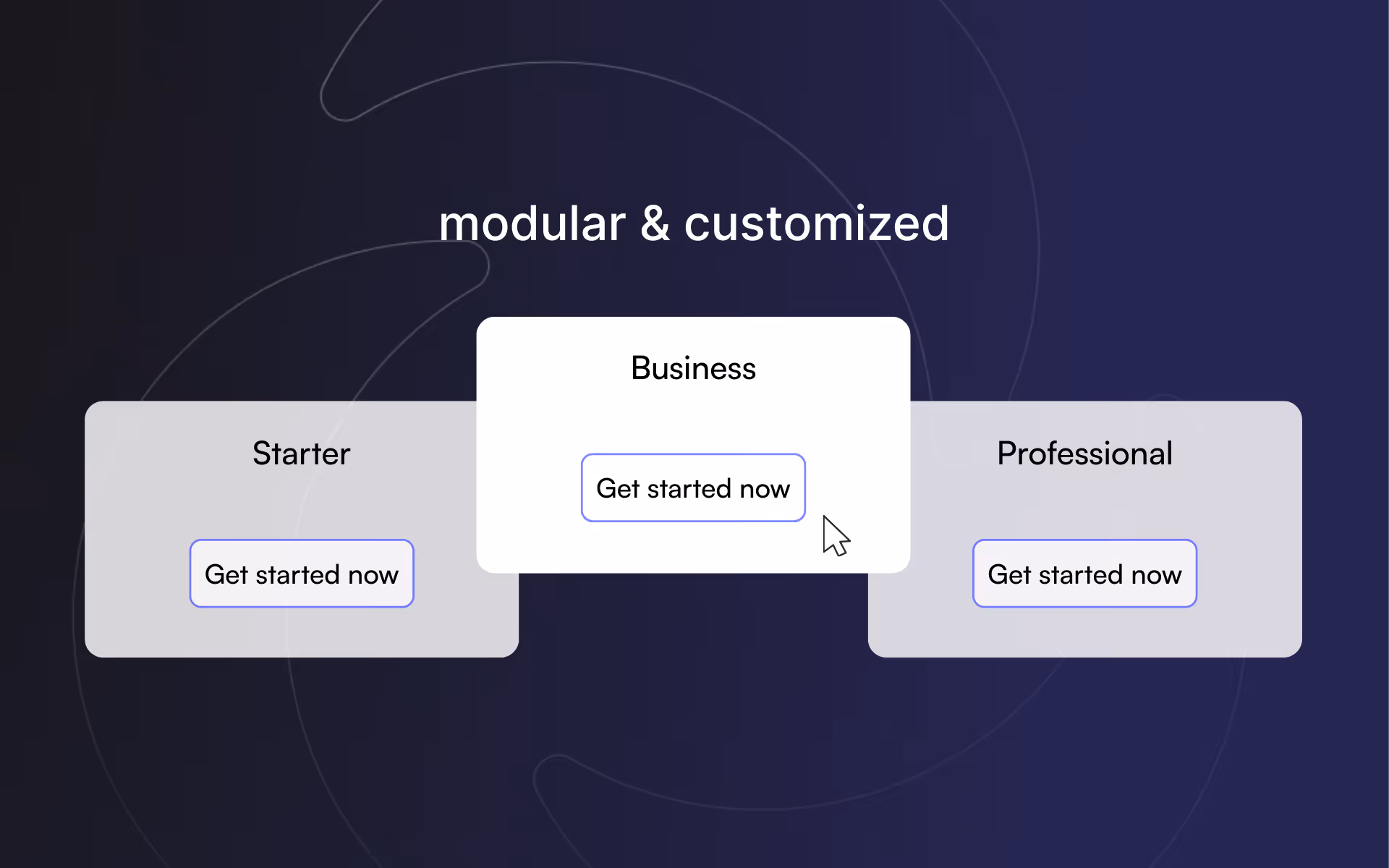 Modulare und anpassbare Preistafeln mit drei Optionen: Starter, Business und Professional, jeweils mit einem Button zum sofortigen Start.