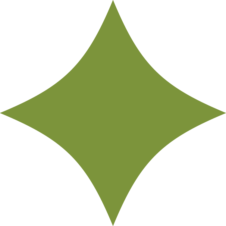 Green four-point star shape with concave curved sides on a transparent background.