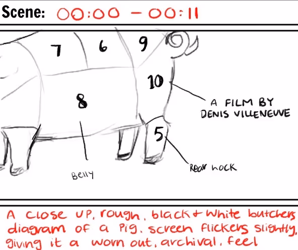 Storyboard sketch of black and white butcher's diagram of a pig with numbered sections and handwritten notes.