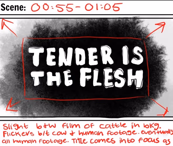 Storyboard frame showing the phrase 'TENDER IS THE FLESH' in white on black background with red annotation.