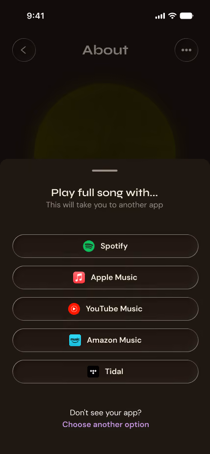 App screen showing options to play full song via Spotify, Apple Music, YouTube Music, Amazon Music, or Tidal.