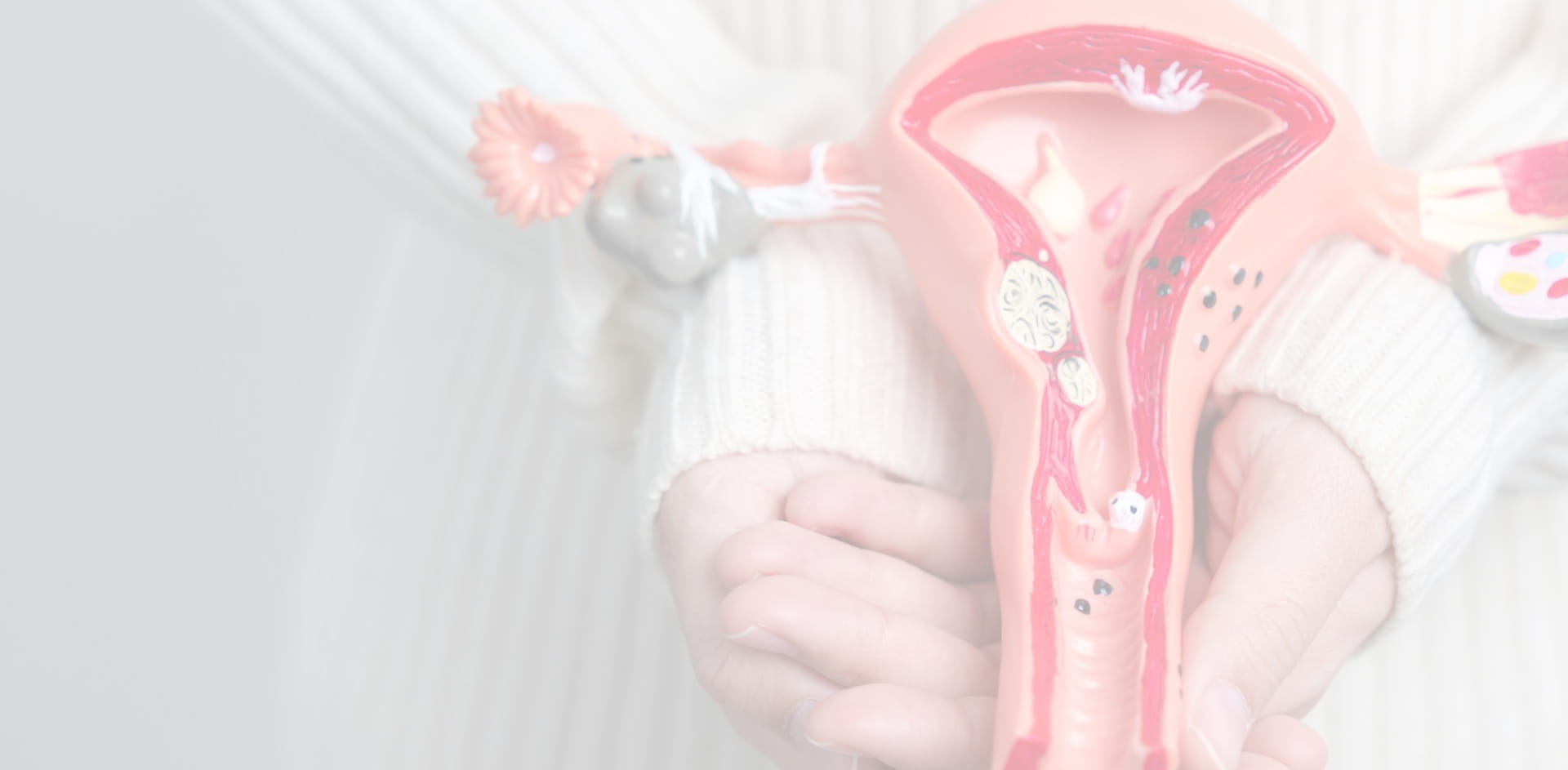 Ärztin hält 3D modell von Gebärmutter