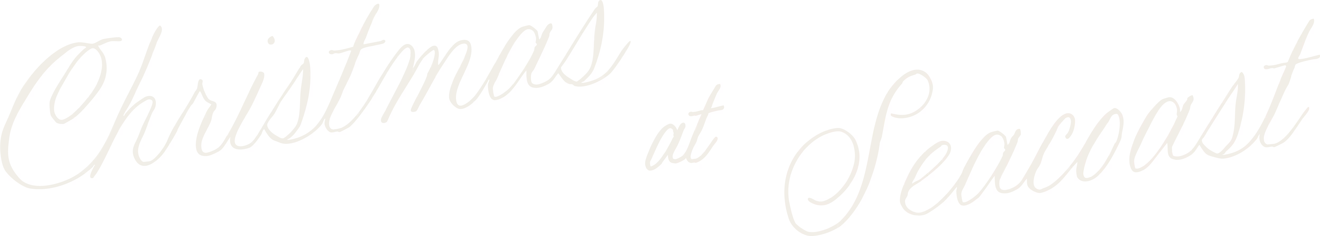 Christmas at Seacoast