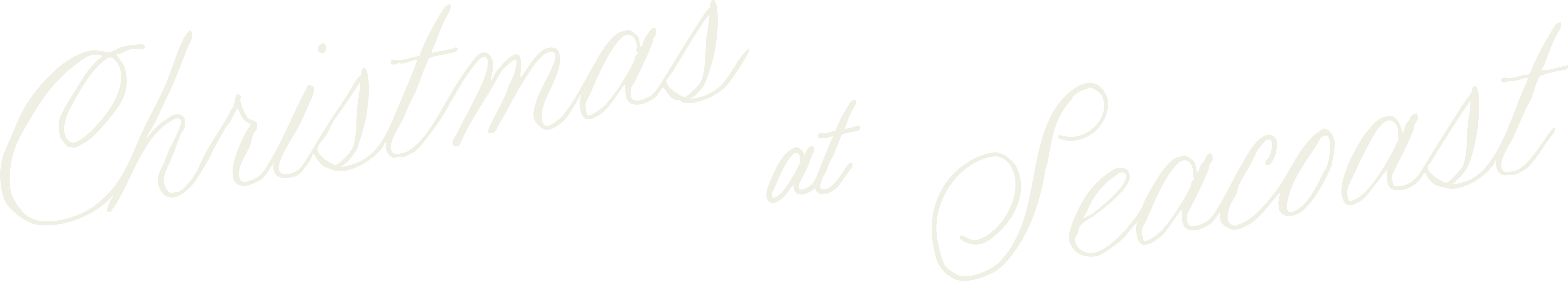 Good Friday & Easter at Seacoast