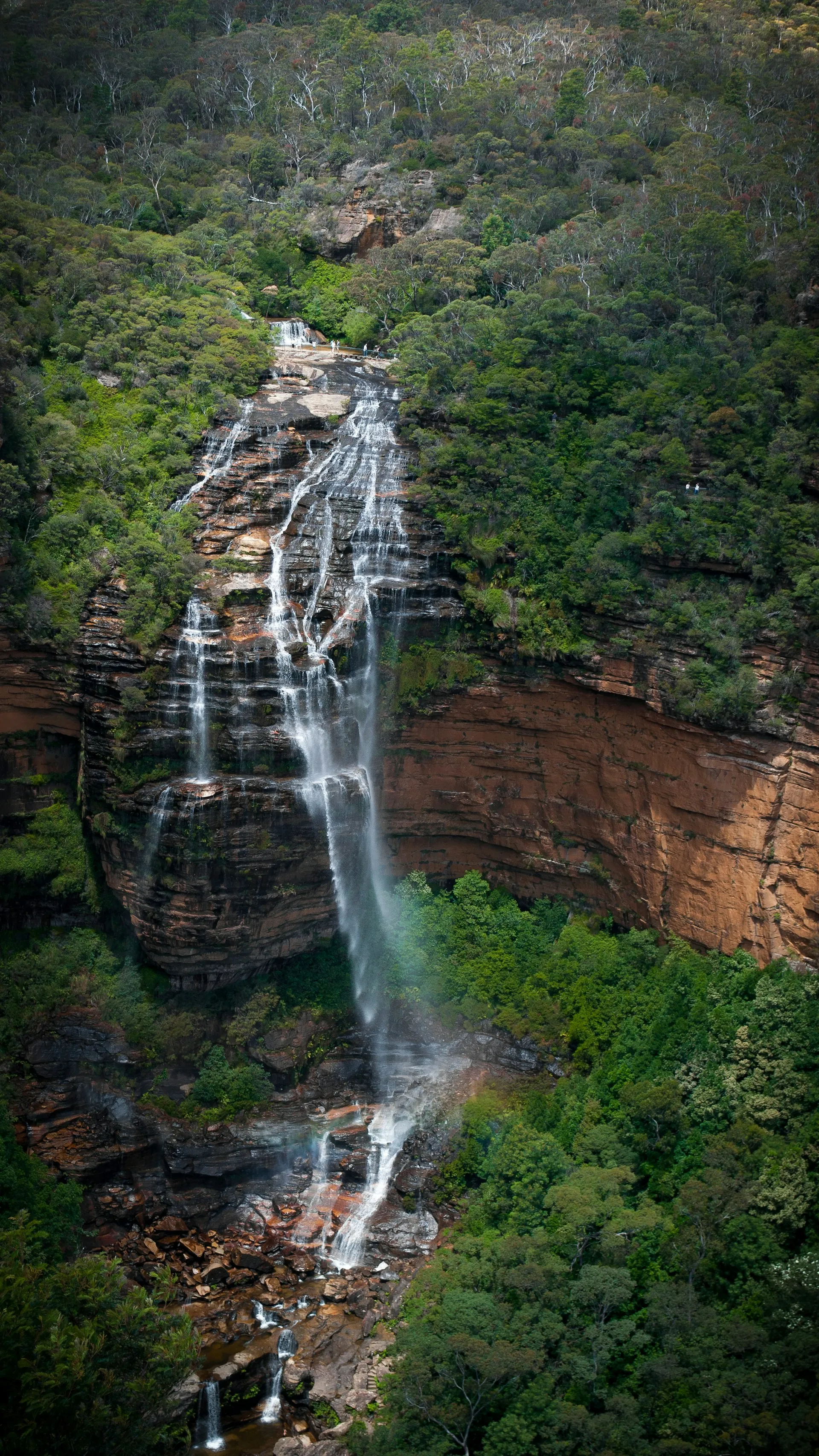 Wentworth Falls cascading down a rugged cliff face surrounded by dense bush in the Blue Mountains,