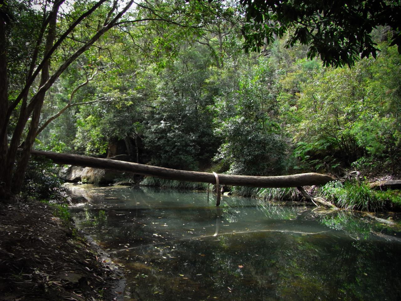 Bidjigal Reserve. Credit: Halans, Flickr: [https://www.flickr.com/photos/halans/3936996790/](https://www.flickr.com/photos/halans/3936996790/), licensed under CC BY-NC-SA 2.0: [https://creativecommons.org/licenses/by-nc-sa/2.0/](https://creativecommons.org/licenses/by-nc-sa/2.0/)