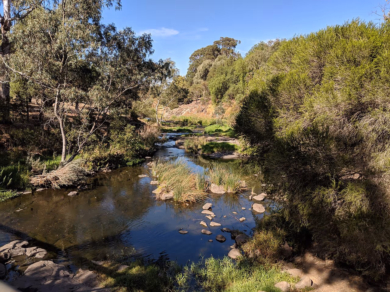 Merri Creek flowing through Coburg Lake Reserve in Victoria, surrounded by trees with reflections on the water. Credit: Nickw25, Wikimedia Commons: https://commons.wikimedia.org/wiki/File:Merri_Creek_at_Coburg_Lake_Reserve_Q1922004_20190420a.jpg