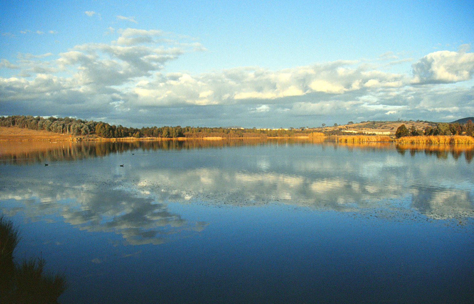 Lake Ginninderra in Canberra with calm water reflecting the sky, clouds, and surrounding trees, captured on a clear day. Credit: Brian Ireland, Wikimedia Commons: https://commons.wikimedia.org/wiki/File:ACT064_Lake_Ginninderra,_Canberra_A.C.T_%2833101663890%29.jpg