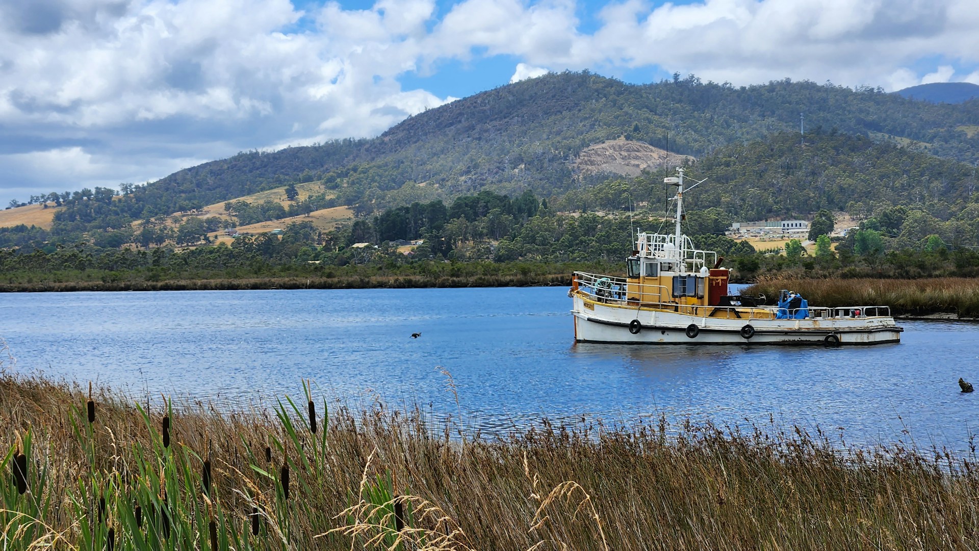 Fishing boat anchored on the Huon River at Franklin, Tasmania.