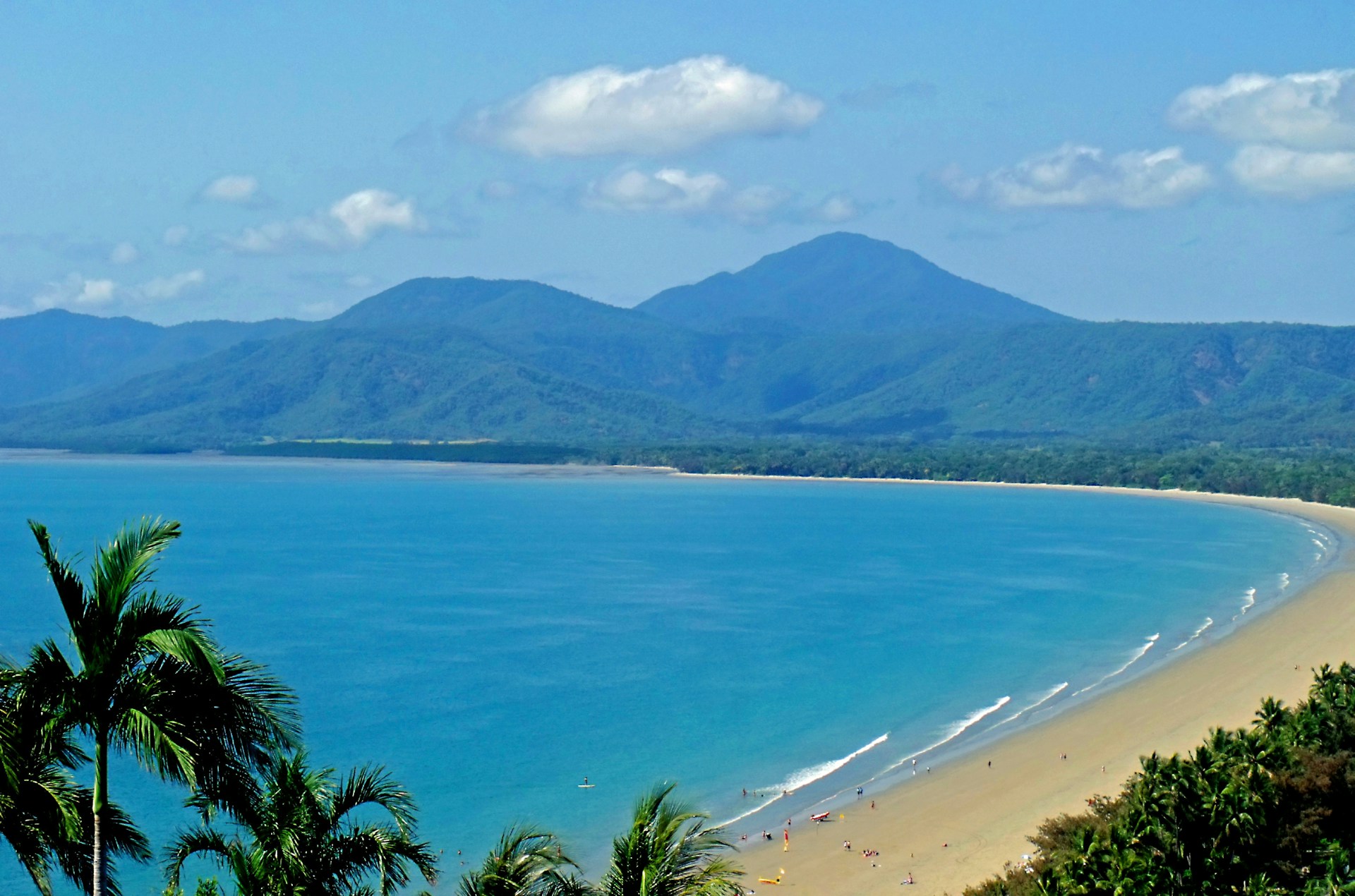 Scenic view of Four Mile Beach in Port Douglas, with turquoise waters and palm trees.