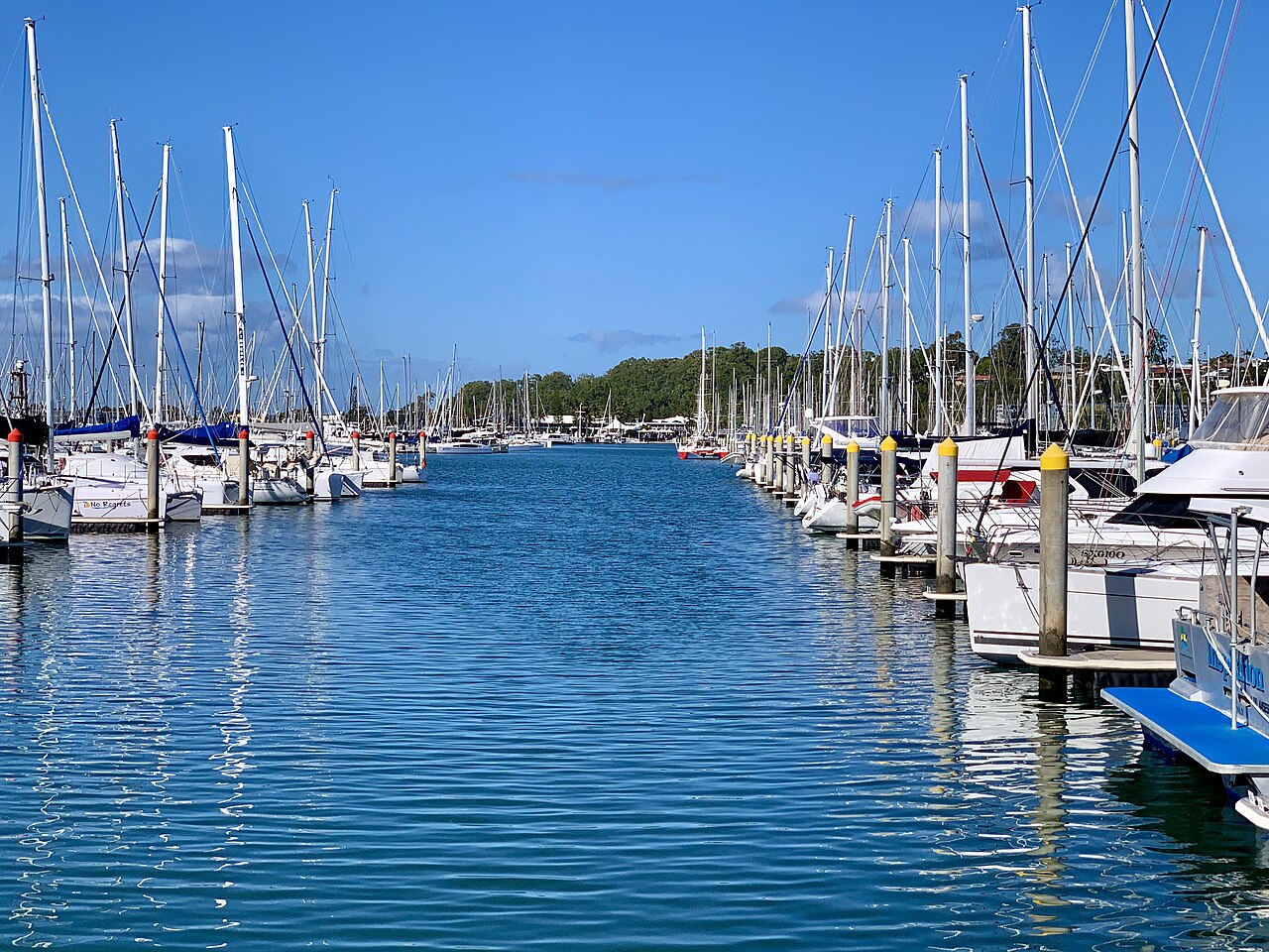 Manly Boat Harbour with rows of moored yachts under a clear blue sky. Credit: Kgbo, Wikimedia Commons: https://commons.wikimedia.org/wiki/File:Manly_Boat_Harbour,_Queensland,_2020,_01.jpg