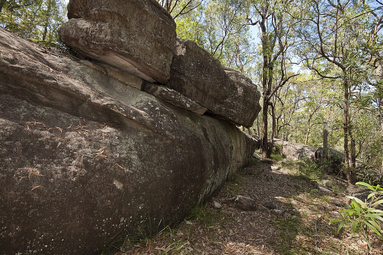 Large sandstone boulders surrounded by native bushland along a walking track in Toohey Forest. Credit: Lyle Radford, Wikimedia Commons: https://commons.wikimedia.org/wiki/File:Toohey_Forest_(7117863157).jpg