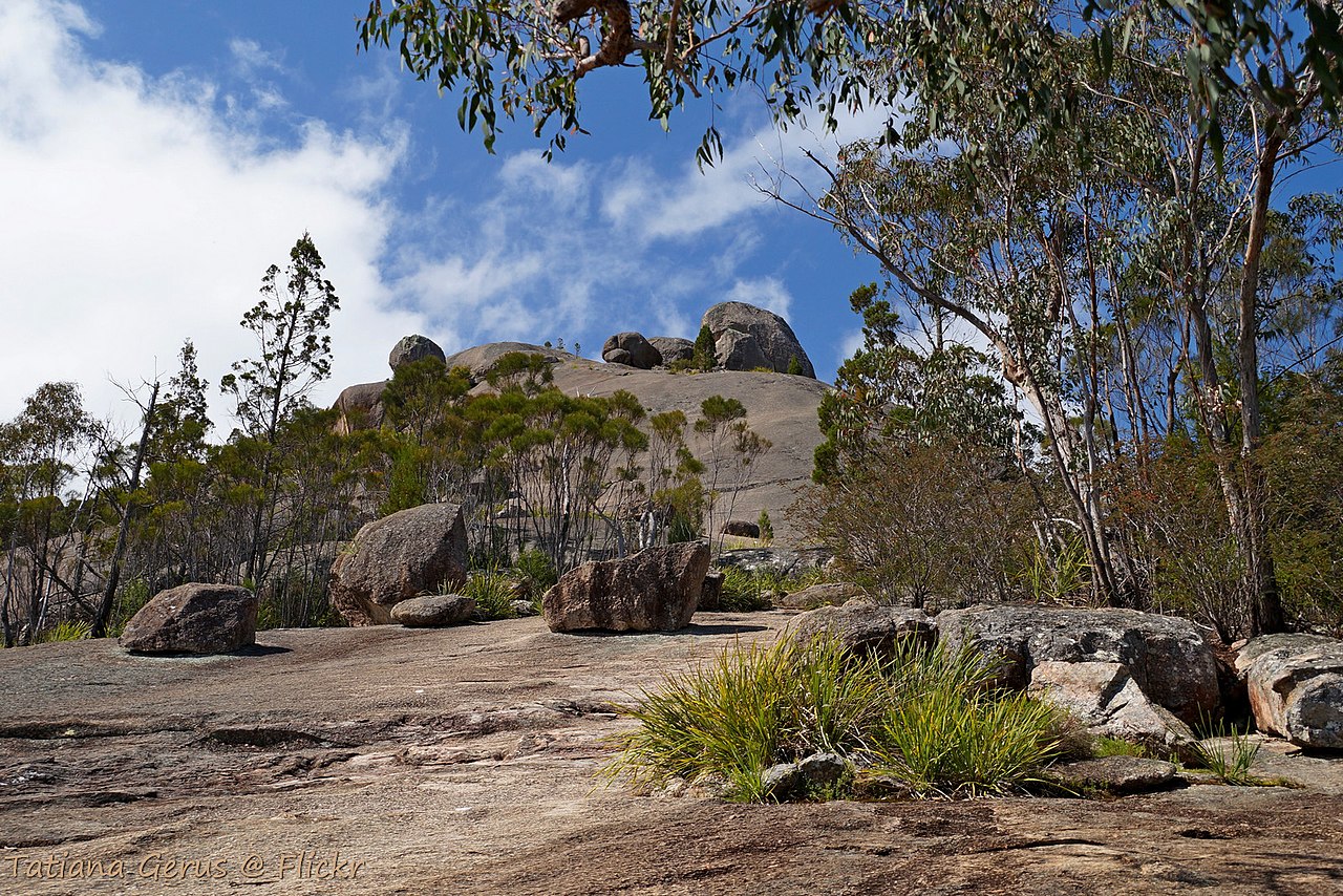 Rocky slope with scattered boulders, native trees and shrubs leading up towards the Pyramid in Girraween National Park. Credit: Tatiana Gerus, Wikimedia Commons: https://commons.wikimedia.org/wiki/File:At_the_foot_of_Pyramid.Girraween_National_Park%2822318387102%29.jpg