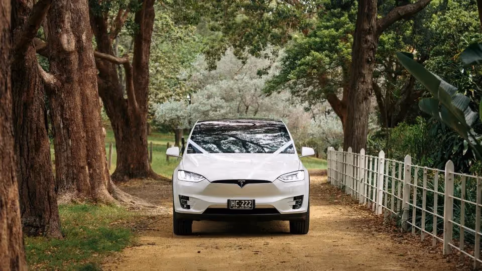 A white Tesla Model X decorated with white ribbon, parked on a tree-lined path, ready for a wedding in a lush garden setting.