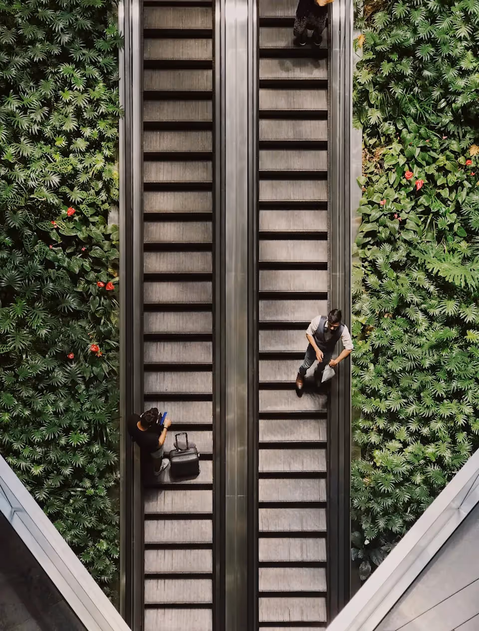 Two parallel escalators in a modern building, with lush greenery and red flowers flanking both sides. A person is standing on the left escalator with a suitcase, while another person is walking down the right escalator.